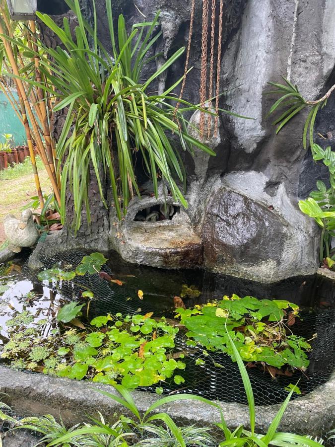 Rock Cascade Tourist Home & Cookery School Polonnaruwa Luaran gambar