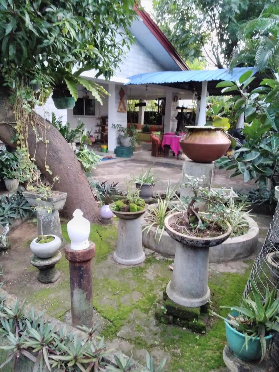 Rock Cascade Tourist Home & Cookery School Polonnaruwa Luaran gambar