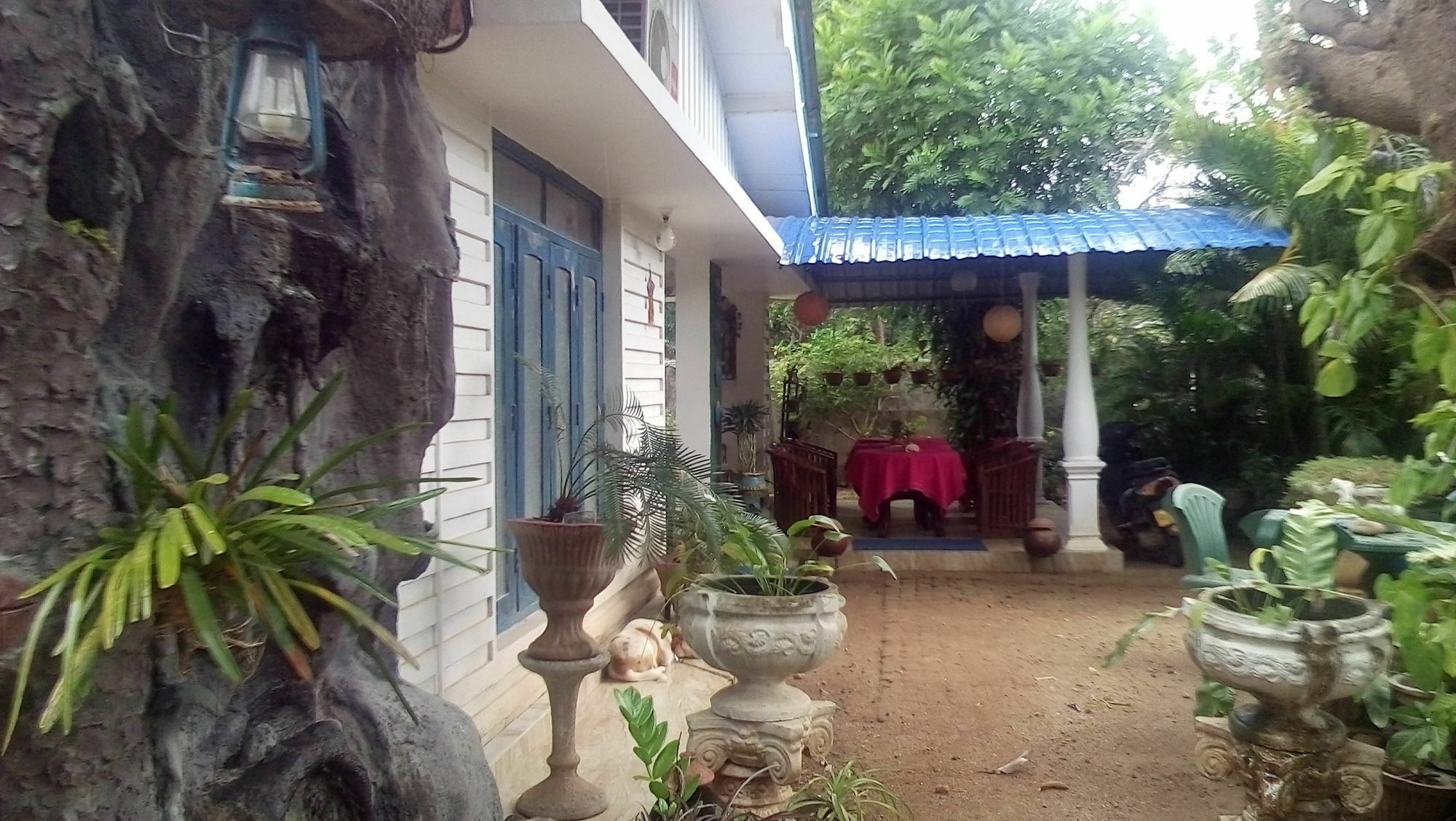Rock Cascade Tourist Home & Cookery School Polonnaruwa Luaran gambar